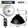 8.5-inch Deep Dome Lamp Fixture