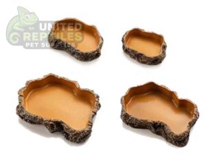 Reptile feeding basin