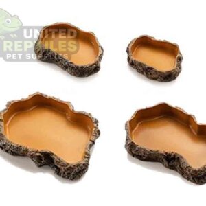 Reptile feeding basin