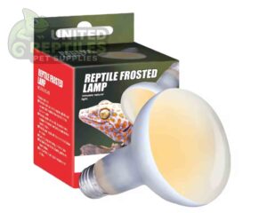 Nomoy Frosted Basking Lamp