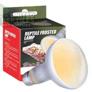 Nomoy Frosted Basking Lamp