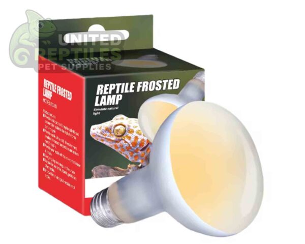 Nomoy Frosted Basking Lamp