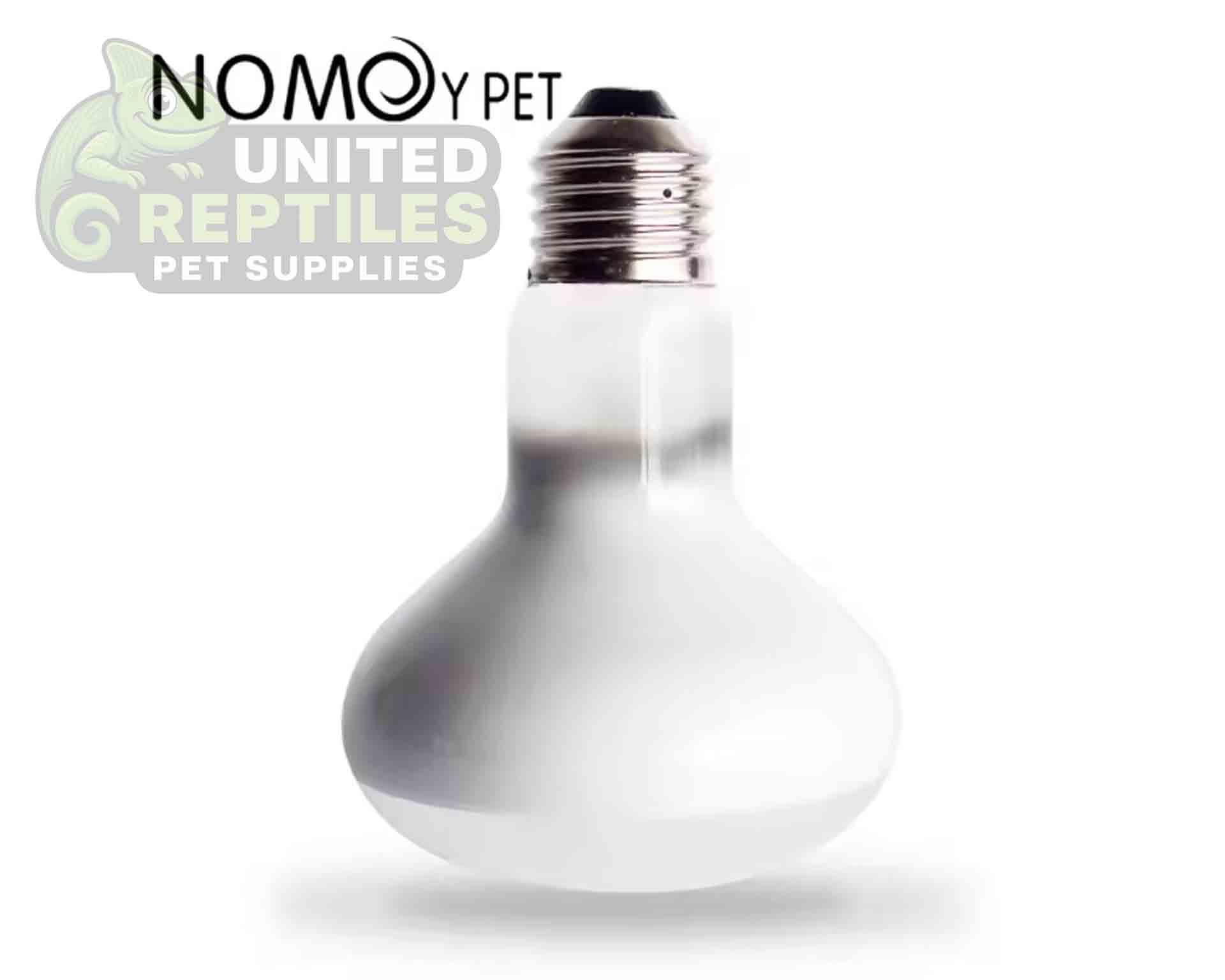 Nomoy Frosted Basking Lamp - Image 4