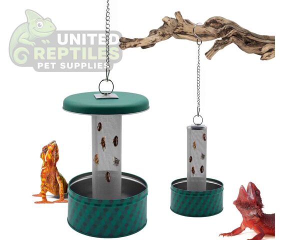 Chameleon Feeding Bowl