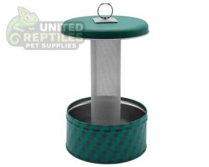 Chameleon Feeding Bowl