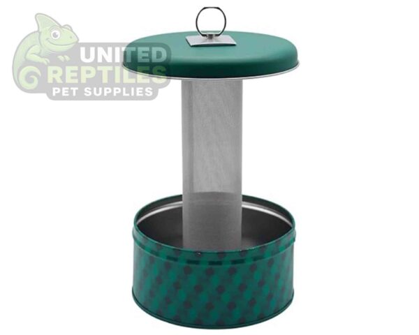 Chameleon Feeding Bowl