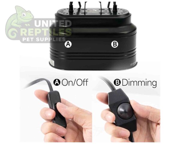 Dual Deep Dome Reptile Lamp Fixture