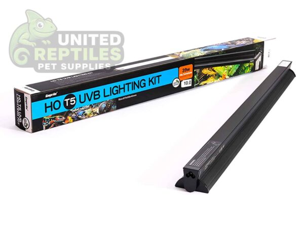 abstract hexagonal shape with lizard inside Giangarden T5 Fixture with 10.0 UVB Lamp