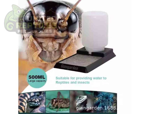 abstract hexagonal shape with lizard inside Giangarden WA-F05 Reptiles & Insects Reservoir