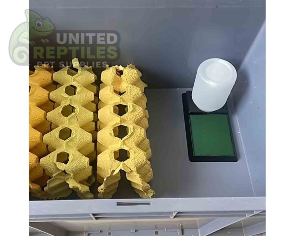 abstract hexagonal shape with lizard inside Giangarden WA-F05 Reptiles & Insects Reservoir