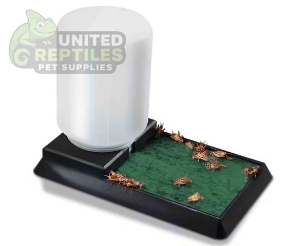 abstract hexagonal shape with lizard inside Giangarden WA-F05 Reptiles & Insects Reservoir