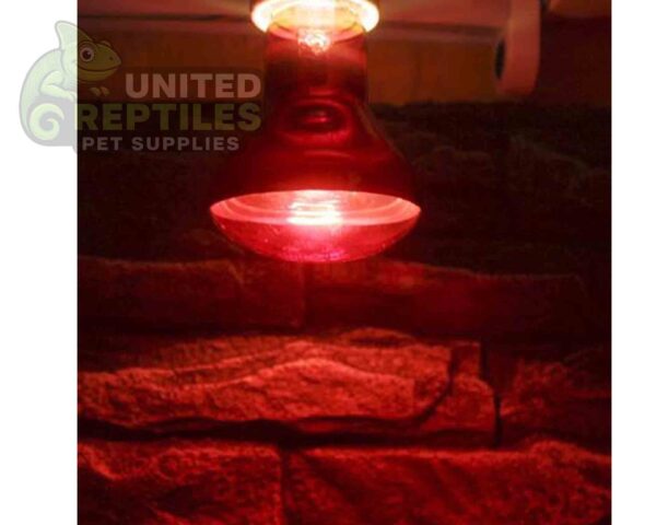 ND-21Infrared Heating Lamp