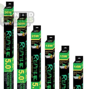 Lucky Herb 5.0 UVB Florescent Tubes