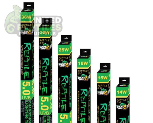 Lucky Herb 5.0 UVB Florescent Tubes