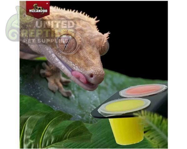 abstract hexagonal shape with lizard inside Mclanzoo Flavored Jelly Insect Food