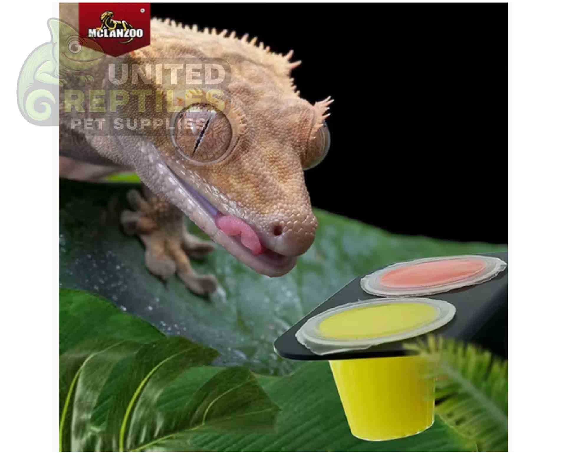 Mclanzoo Flavored Jelly Insect Food - Image 4