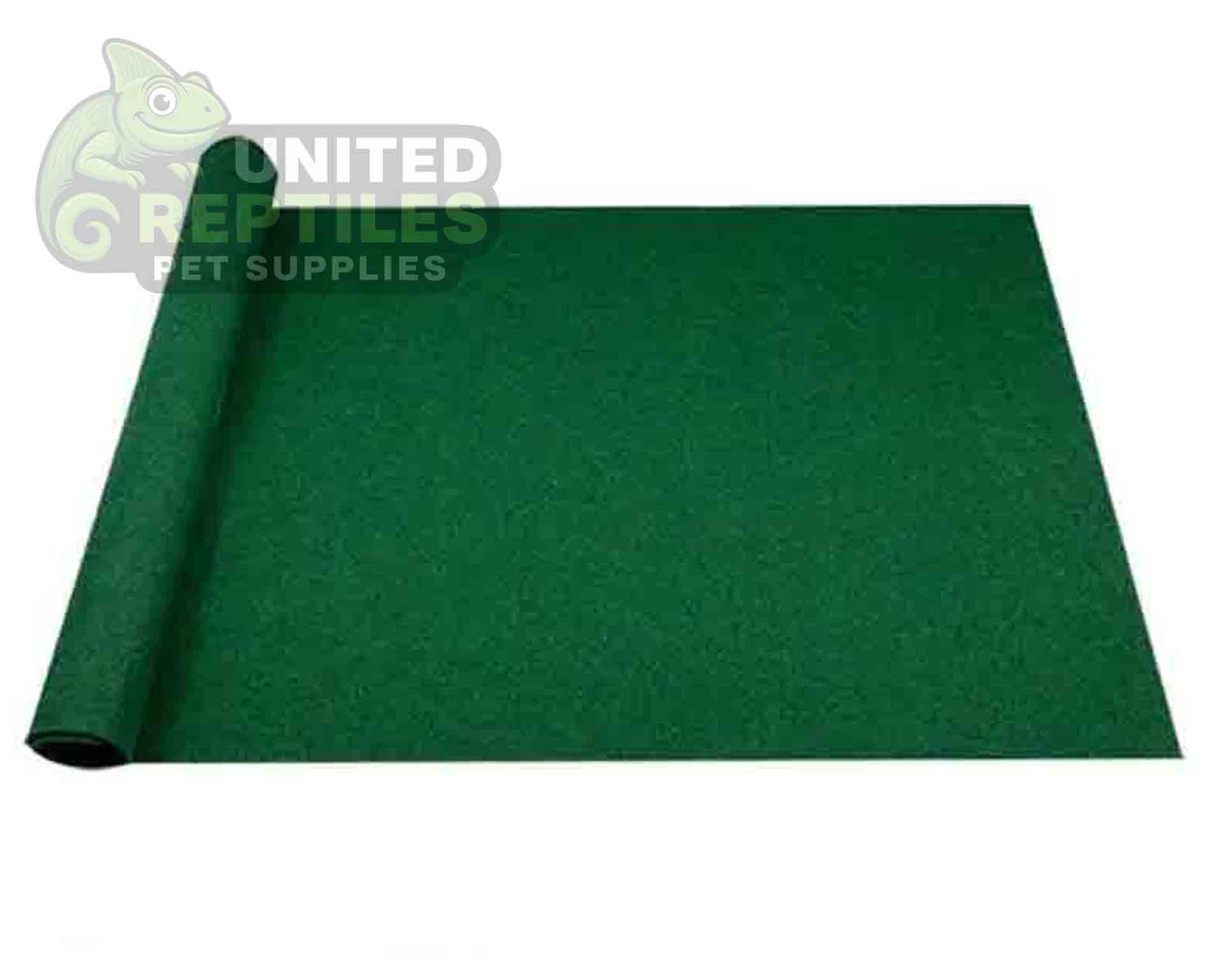 Mclanzoo Reptile Carpet - Image 3