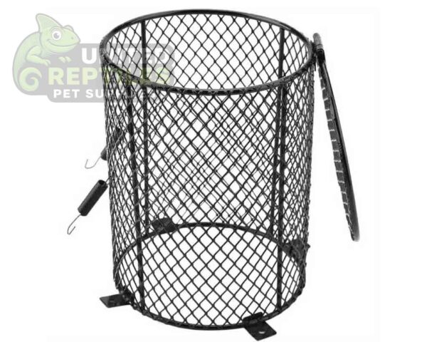 abstract hexagonal shape with lizard inside Lamp Protector