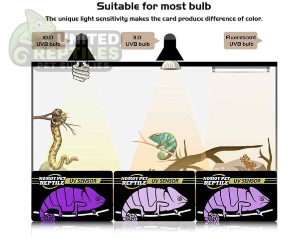 abstract hexagonal shape with lizard inside Nomoy Pet UVB Test Card 2pcs