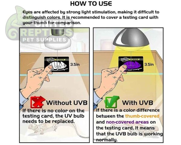 abstract hexagonal shape with lizard inside Nomoy Pet UVB Test Card 2pcs