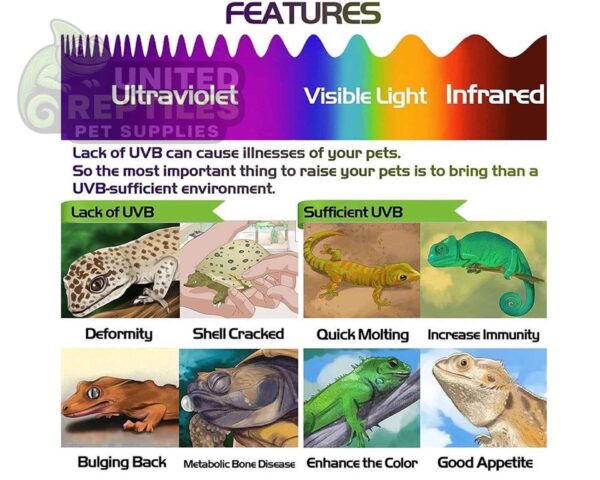 abstract hexagonal shape with lizard inside Nomoy Pet UVB Test Card 2pcs