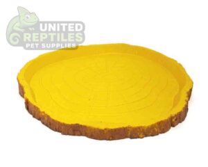 Tortoise Bowl Resin NS38