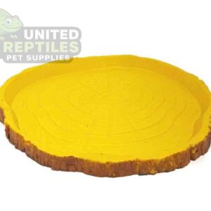 Tortoise Bowl Resin NS38