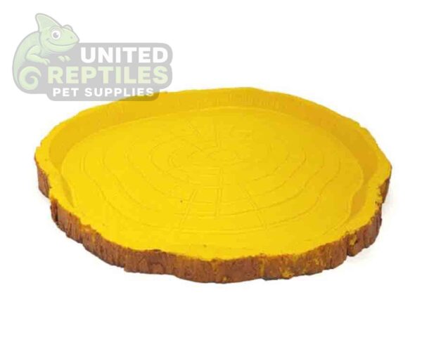 Tortoise Bowl Resin NS38