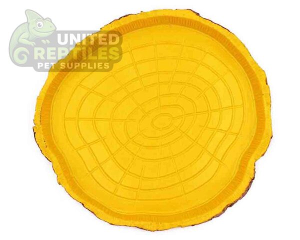 Tortoise Bowl Resin NS38