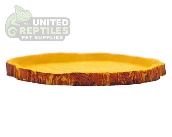 Tortoise Bowl Resin NS38