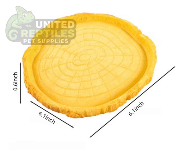 Tortoise Bowl Resin NS38