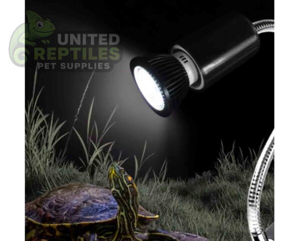 abstract hexagonal shape with lizard inside Nomoy ND-26 10.0 LED 3w UVB lights Black UVB10.0