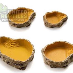 Reptile Water Basin