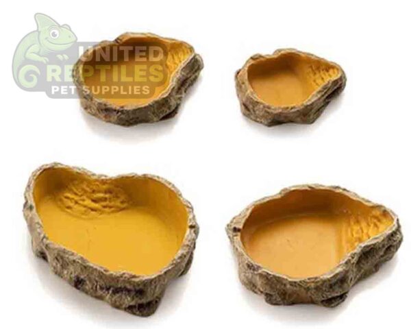 Reptile Water Basin
