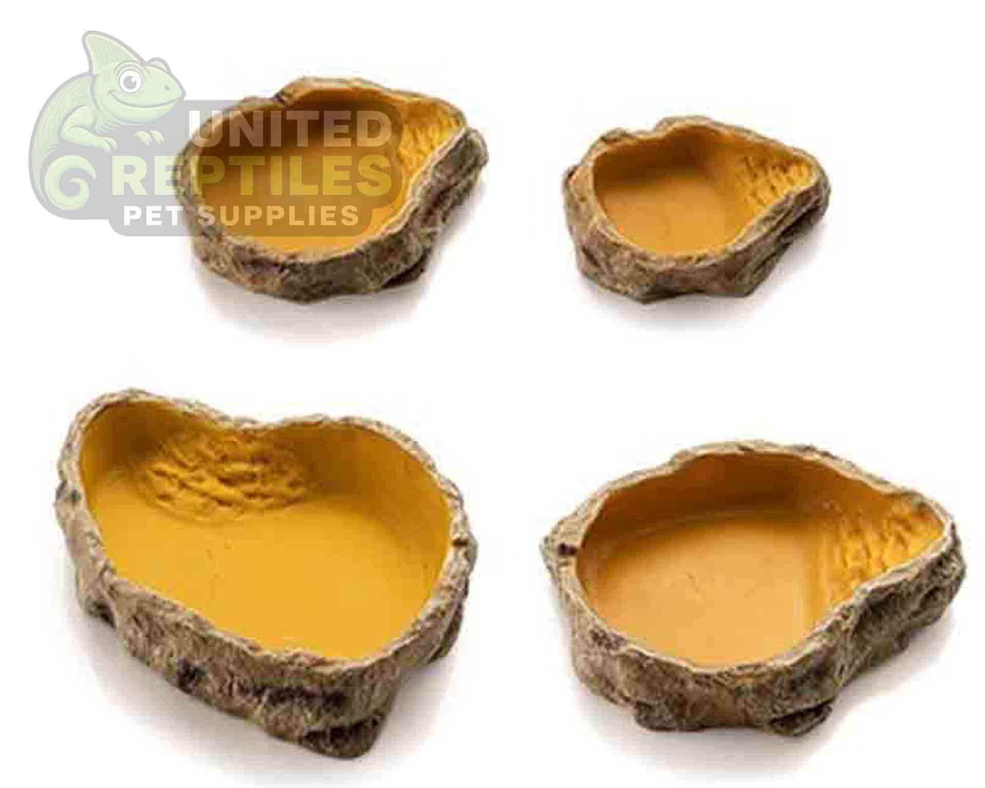 Reptile Water Basin