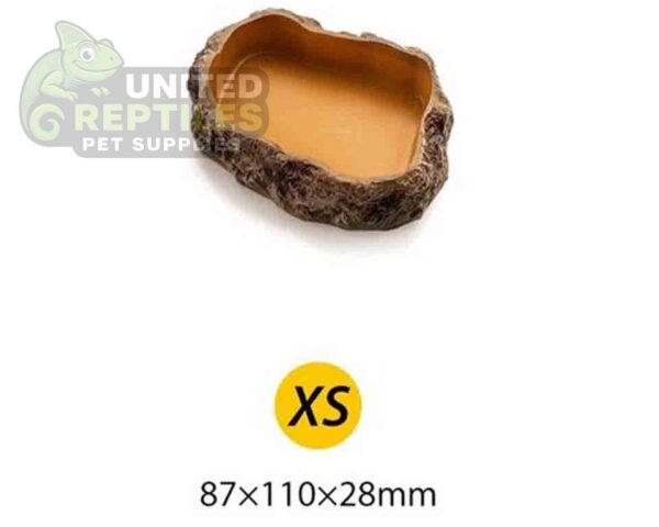 abstract hexagonal shape with lizard inside Reptile feeding basin