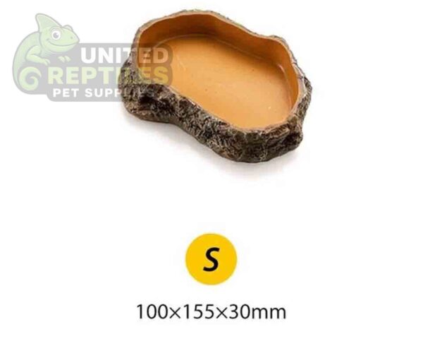 abstract hexagonal shape with lizard inside Reptile feeding basin