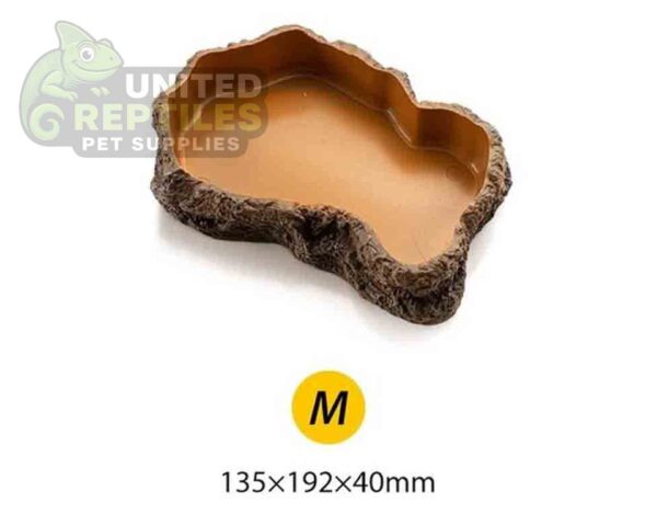 abstract hexagonal shape with lizard inside Reptile feeding basin