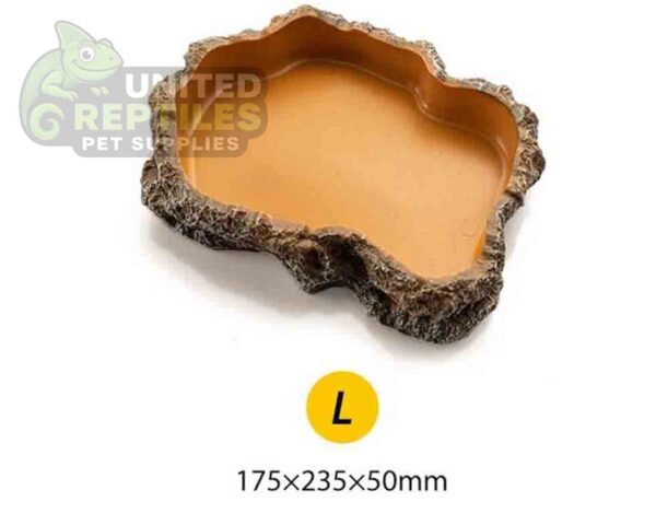 abstract hexagonal shape with lizard inside Reptile feeding basin