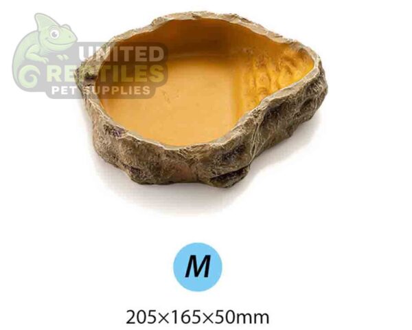 Reptile Water Basin