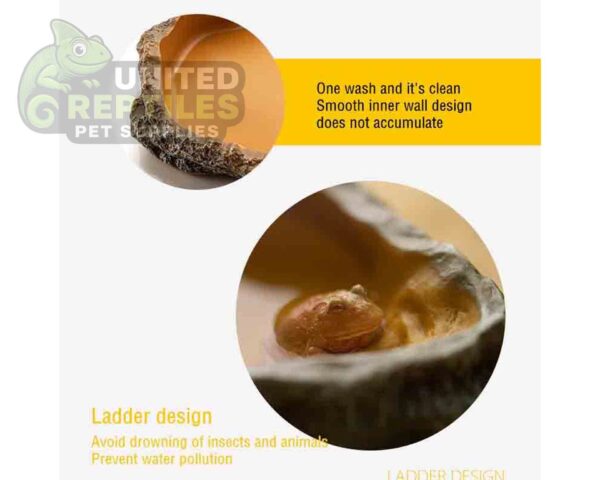 Reptile Water Basin