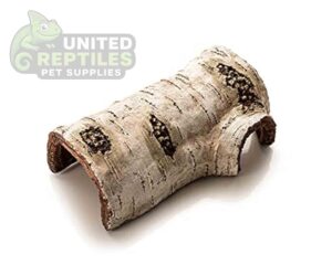 Birch Tree Bark Hide