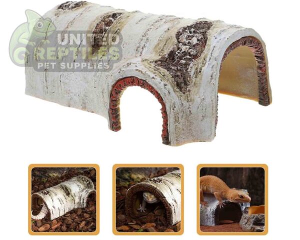Birch Tree Bark Hide