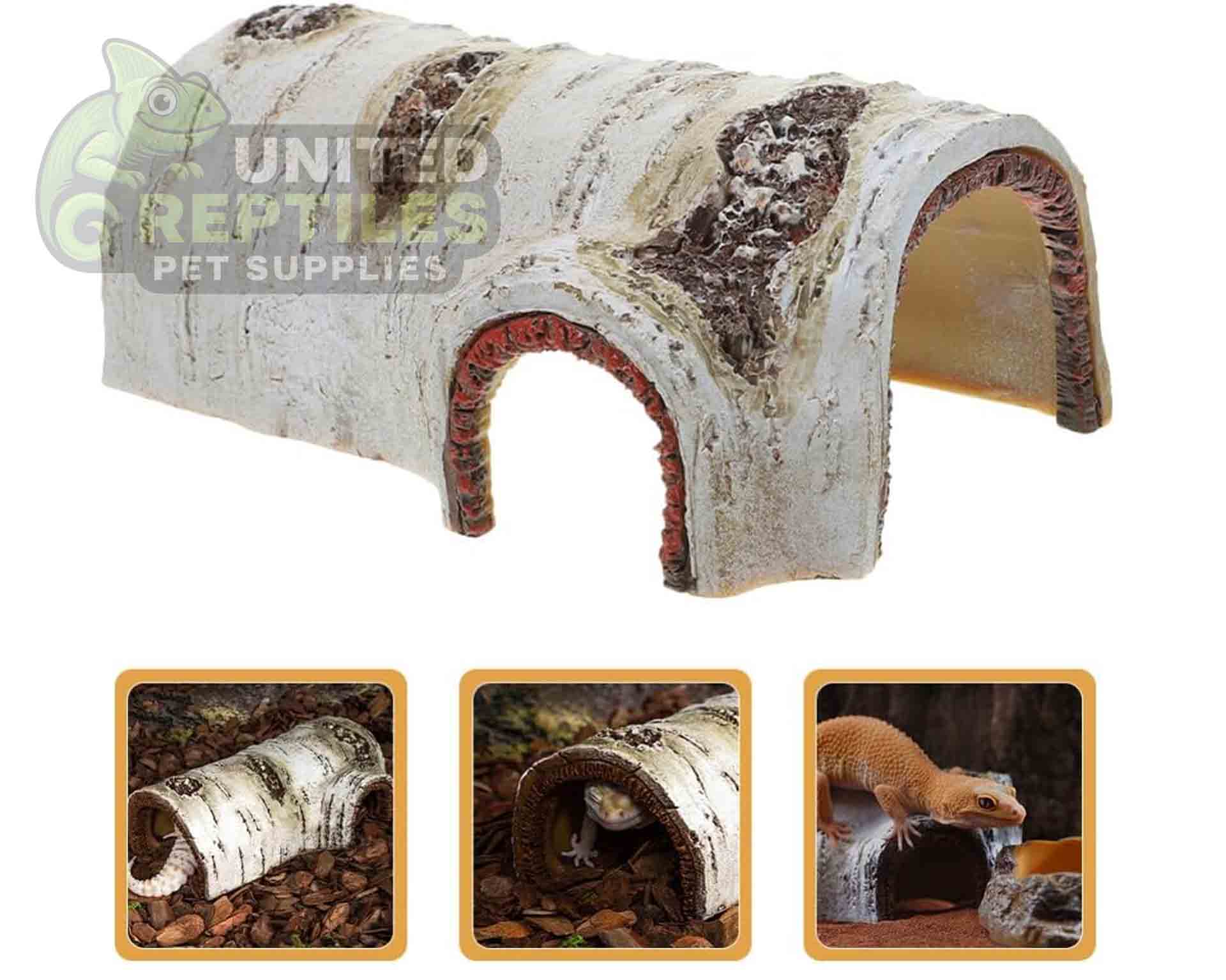 Birch Tree Bark Hide - Image 7