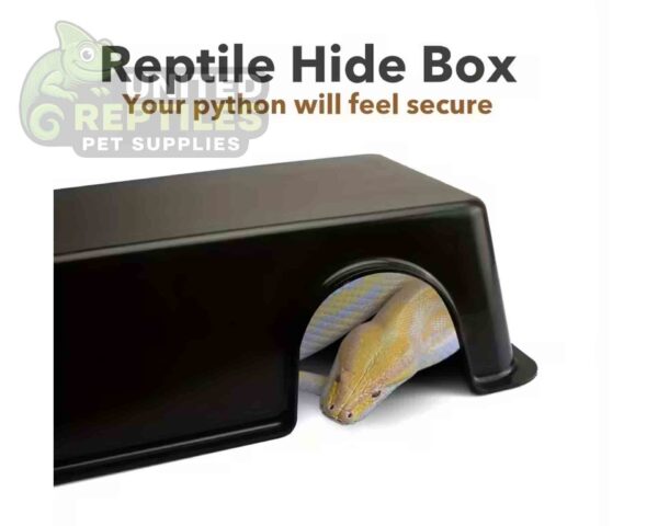 Reptile Hide Box - Secure & Safe