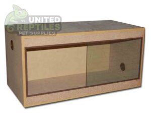 Budget Chip Terrarium