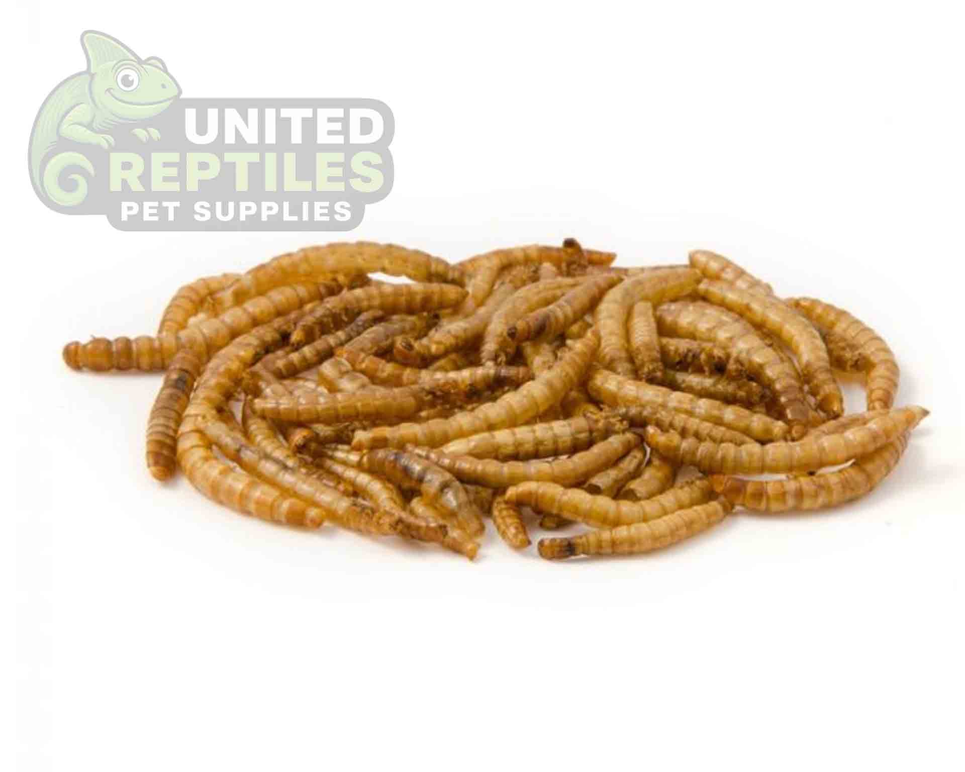 Giangarden Dried Mealworms - Image 2