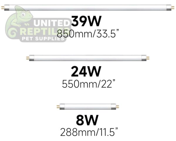 Giangarden T5 Fixture with 5.0 UVB Lamp