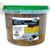 Giangarden Dried Mealworms