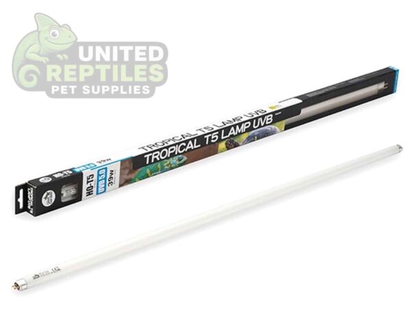 Giangarden T5 5.0 UVB Florescent Tubes